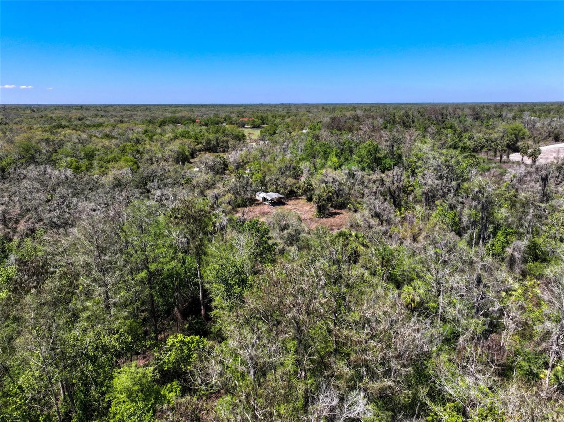 3832 SW Wildcat Run Road Arcadia FL 34266