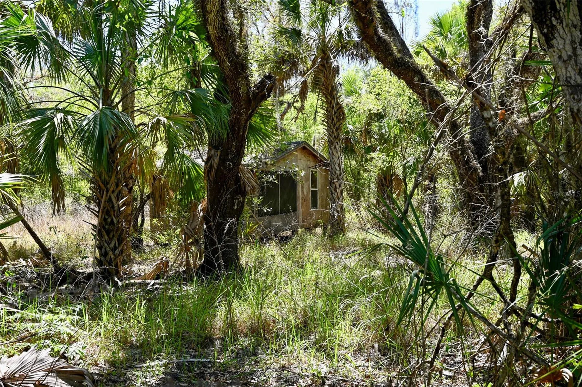 3832 SW Wildcat Run Road Arcadia FL 34266