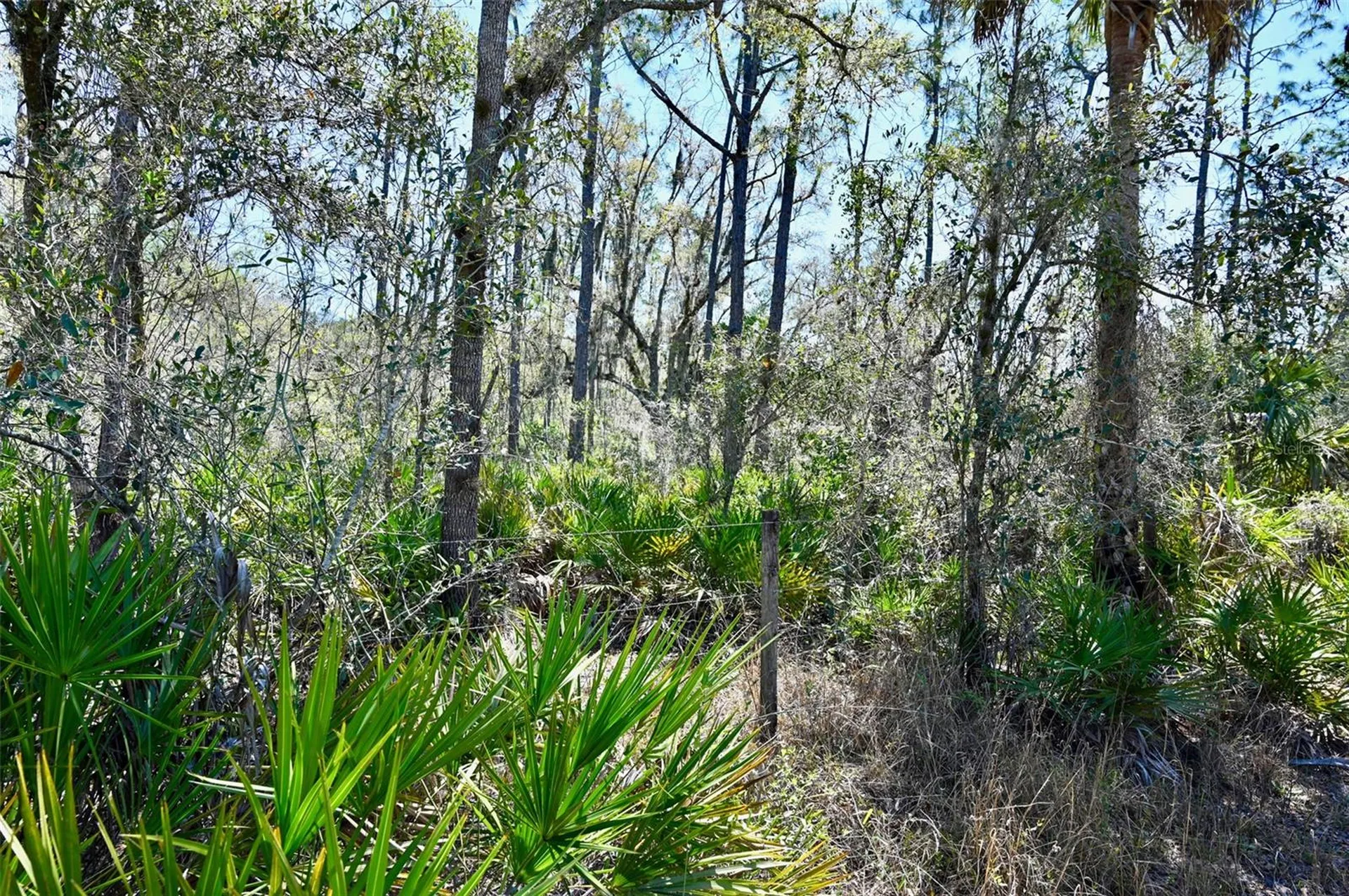 3832 SW Wildcat Run Road Arcadia FL 34266