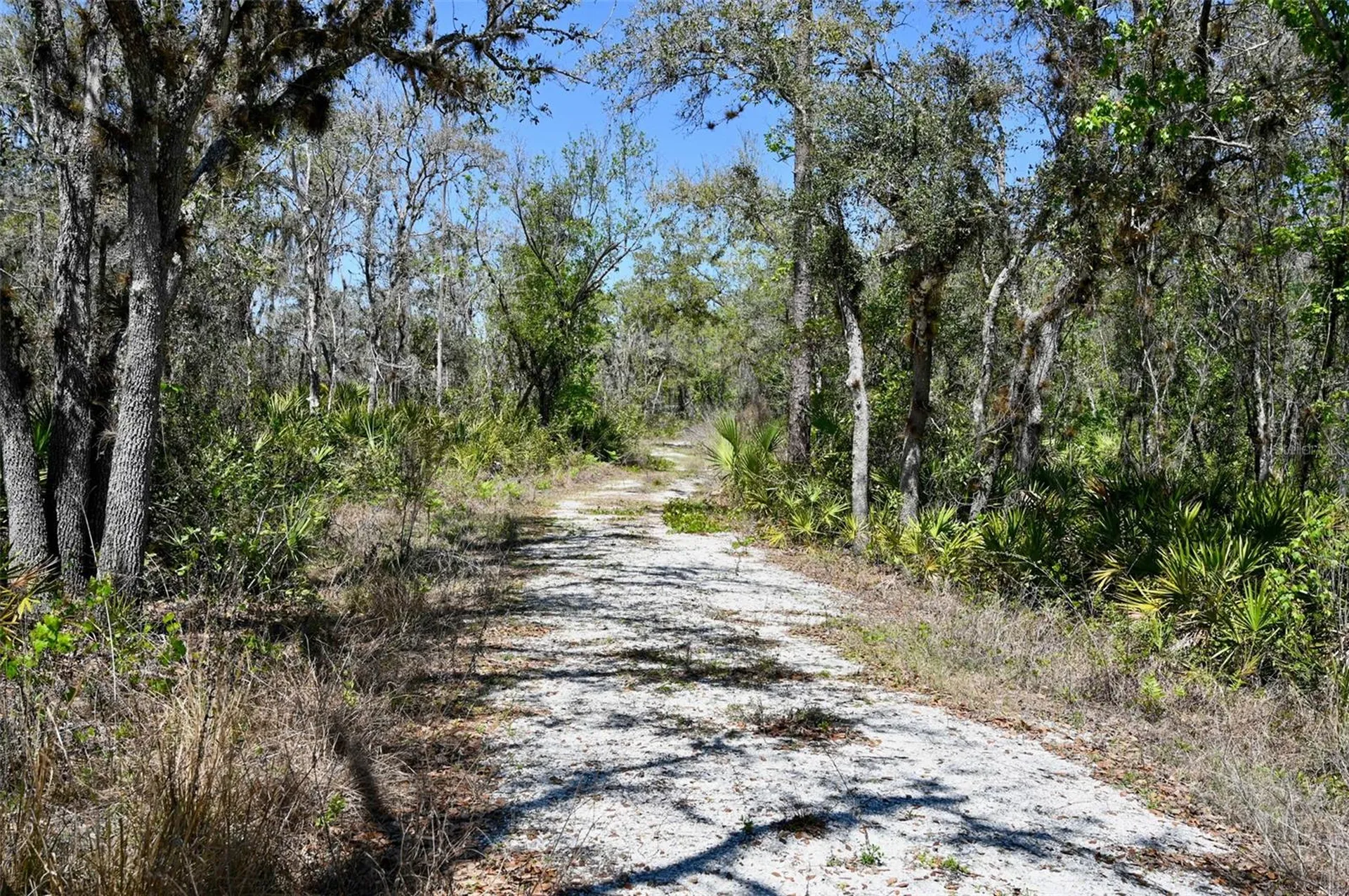 3832 SW Wildcat Run Road Arcadia FL 34266