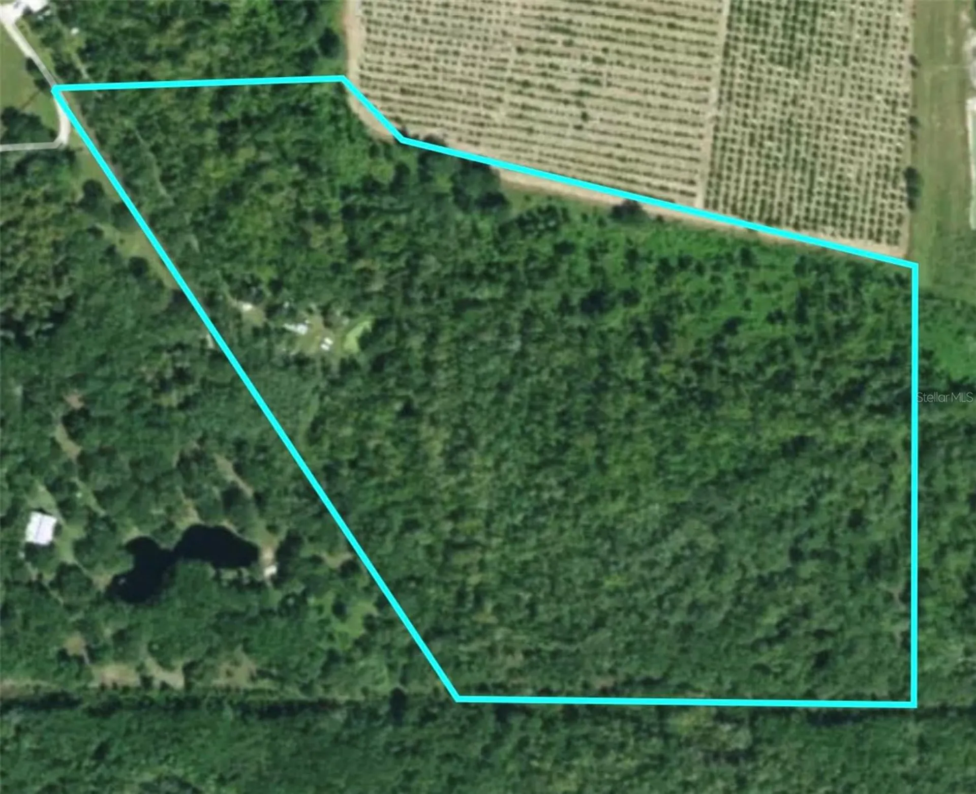 3832 SW Wildcat Run Road Arcadia FL 34266