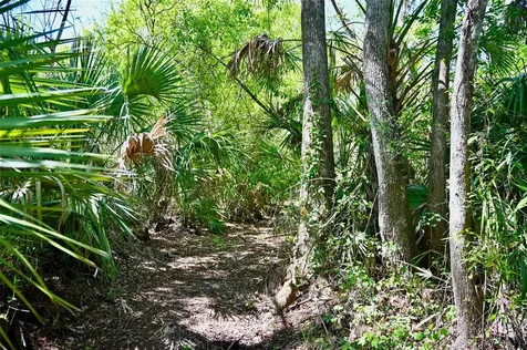 3832 SW Wildcat Run Road Arcadia FL 34266