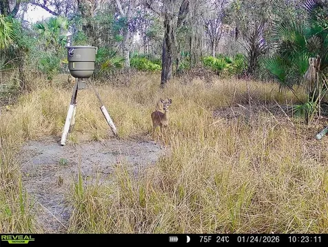 3832 SW Wildcat Run Road Arcadia FL 34266