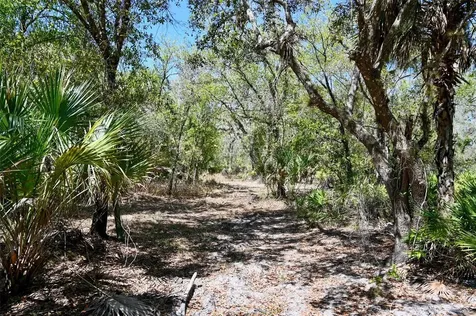 3832 SW Wildcat Run Road Arcadia FL 34266