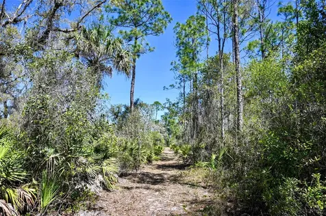 3832 SW Wildcat Run Road Arcadia FL 34266