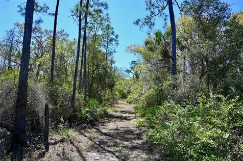3832 SW Wildcat Run Road Arcadia FL 34266