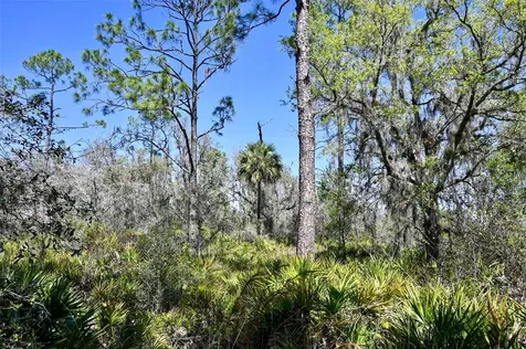 3832 SW Wildcat Run Road Arcadia FL 34266
