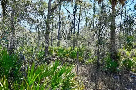 3832 SW Wildcat Run Road Arcadia FL 34266