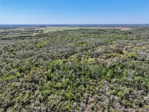 3832 SW Wildcat Run Road Arcadia FL 34266