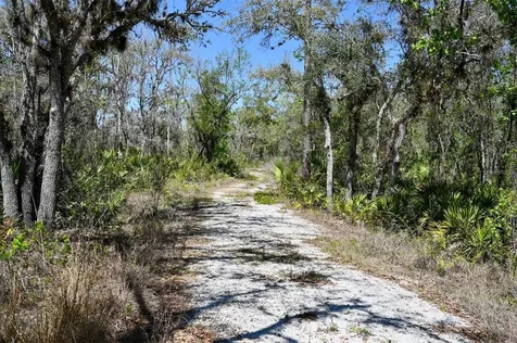 3832 SW Wildcat Run Road Arcadia FL 34266