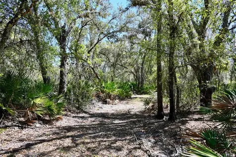 3832 SW Wildcat Run Road Arcadia FL 34266