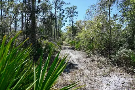 3832 SW Wildcat Run Road Arcadia FL 34266