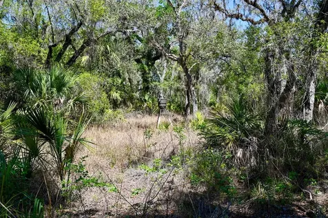 3832 SW Wildcat Run Road Arcadia FL 34266