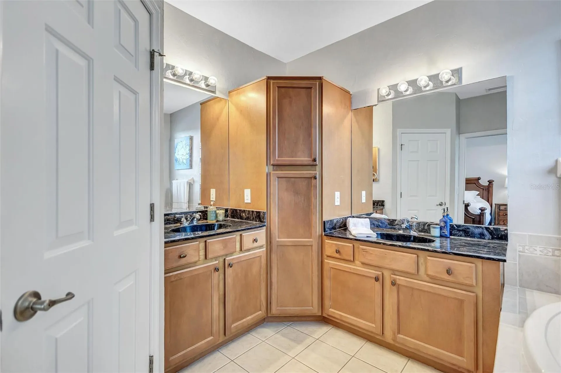 14520 Mirabelle Vista Circle Tampa FL 33626