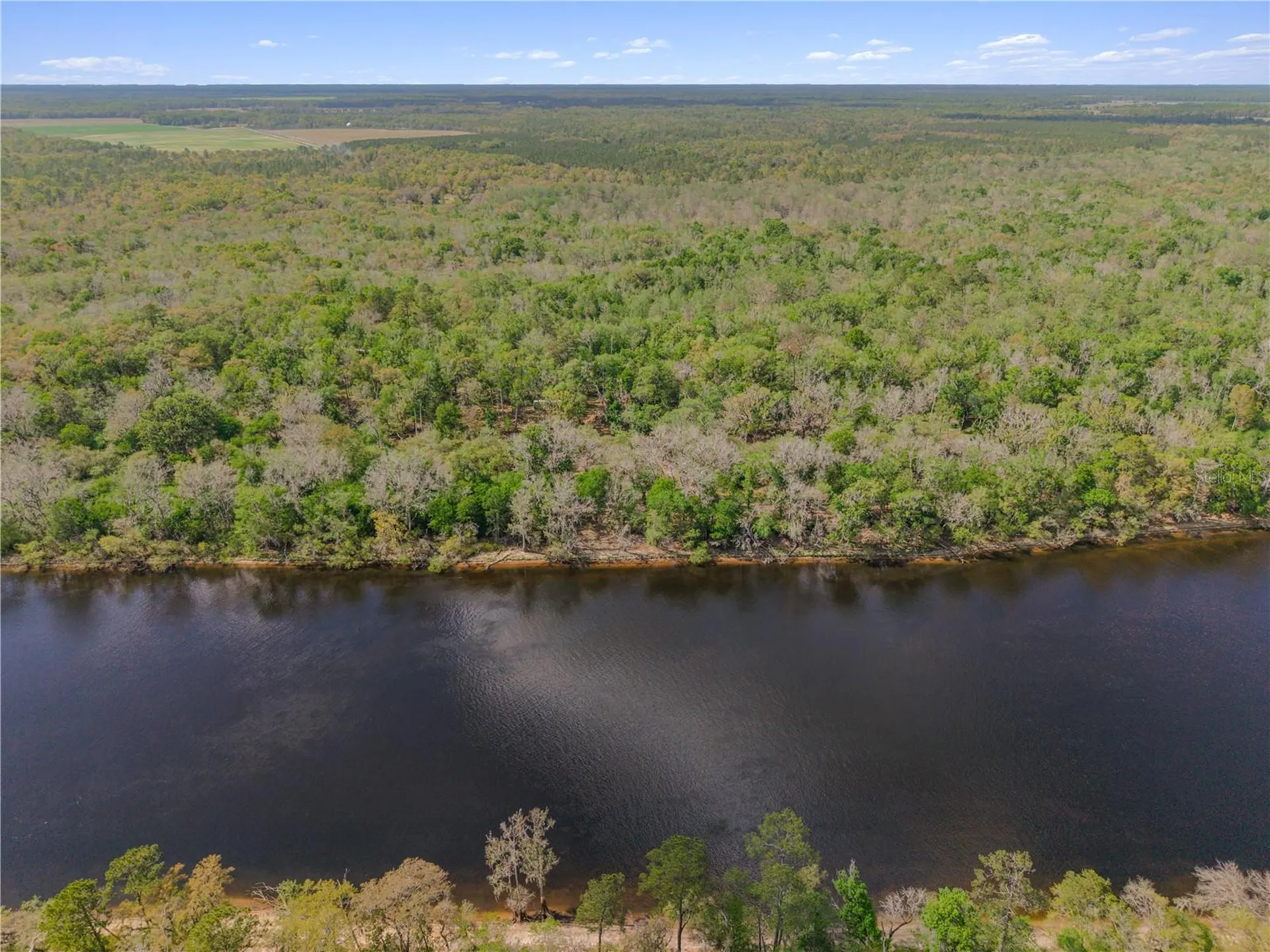 Old Town FL 32680