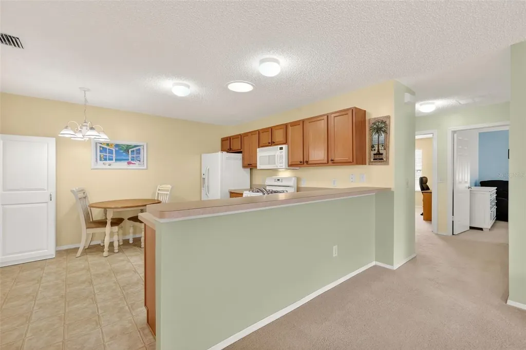 2376 Branchville Terrace The Villages FL 32162