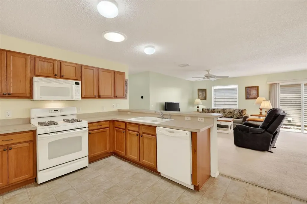 2376 Branchville Terrace The Villages FL 32162