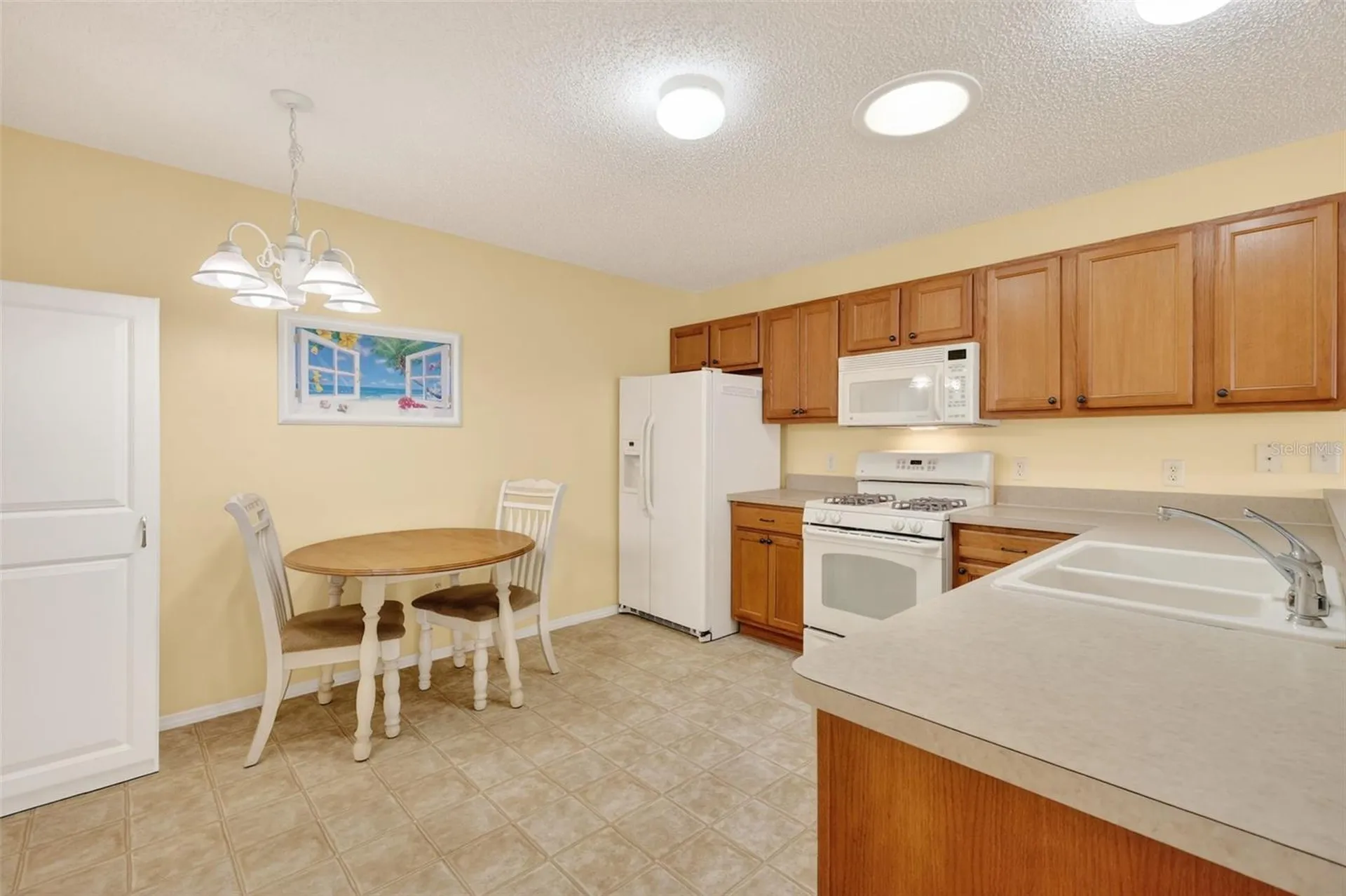 2376 Branchville Terrace The Villages FL 32162