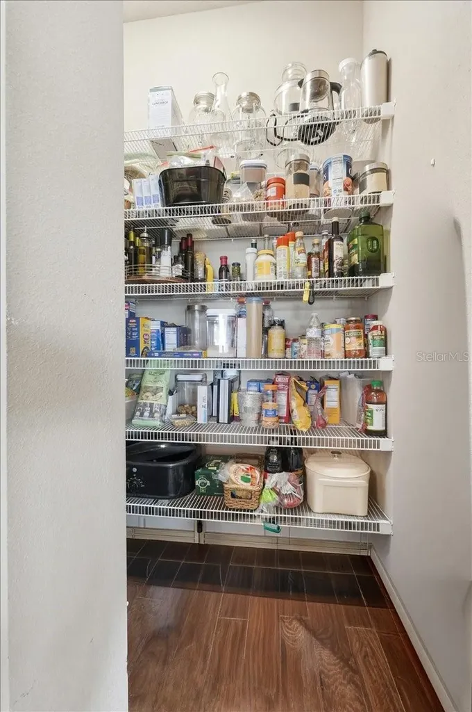 4193 Juliana Lake Drive Auburndale FL 33823