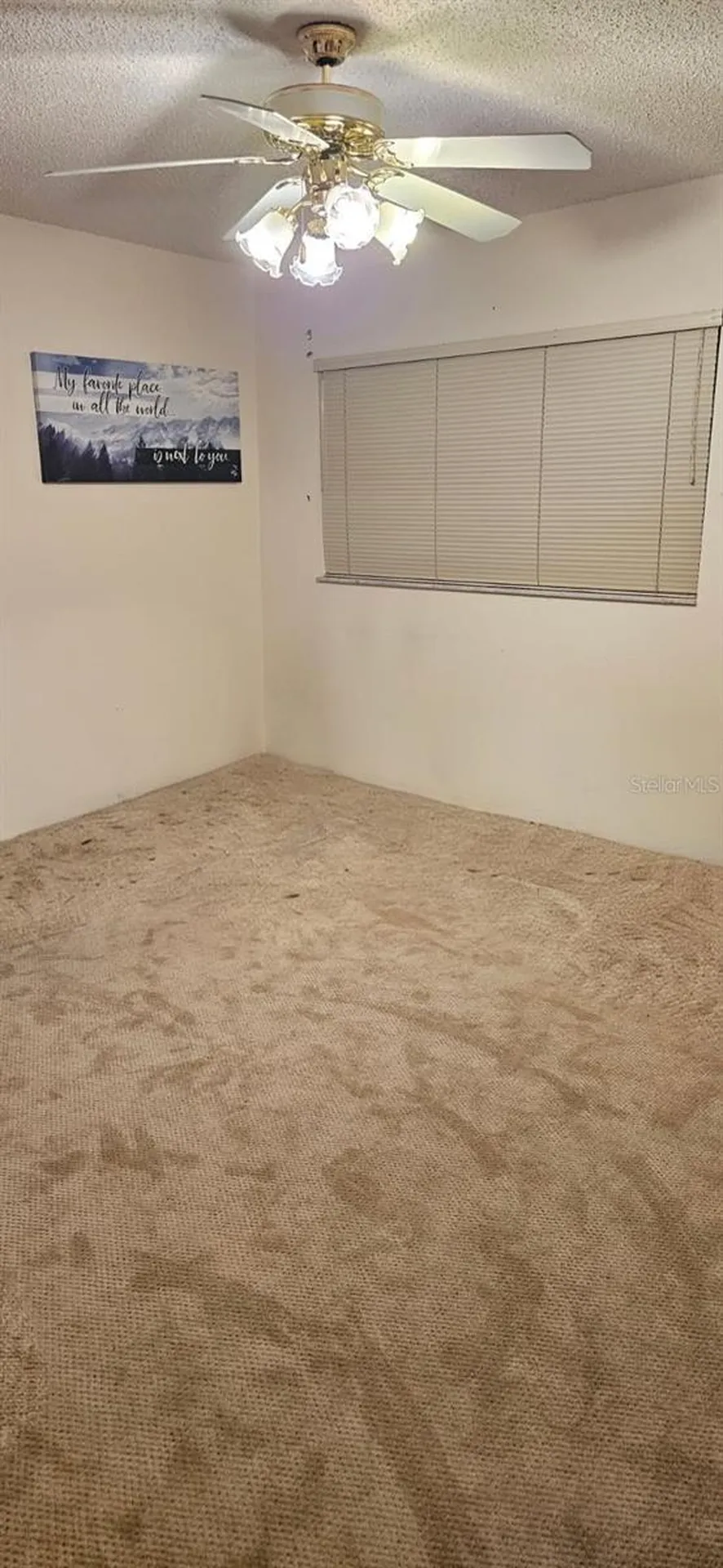 8666 SW 92nd Lane Ocala FL 34481