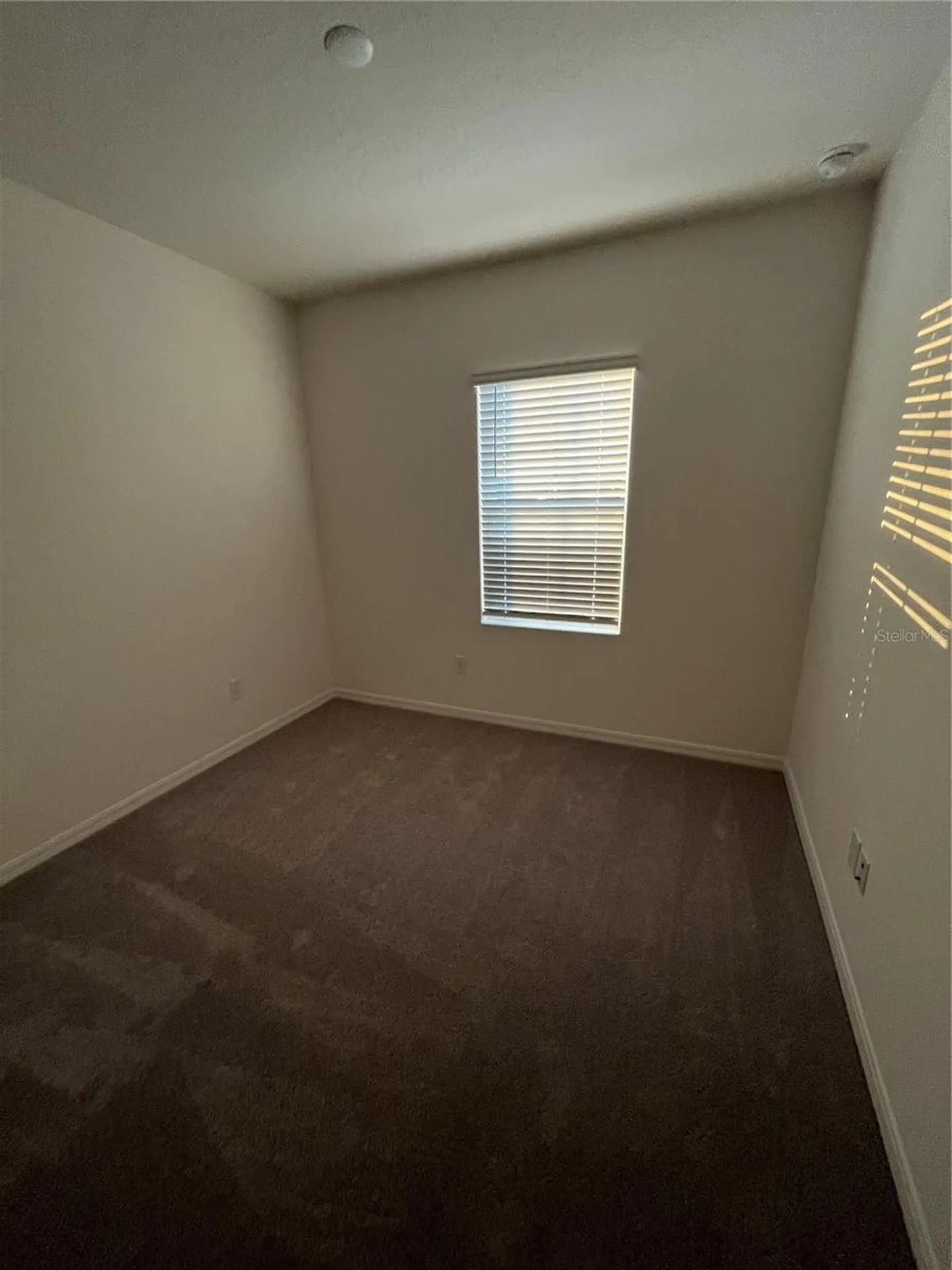 1500 Silver Lining Way Apopka FL 32703