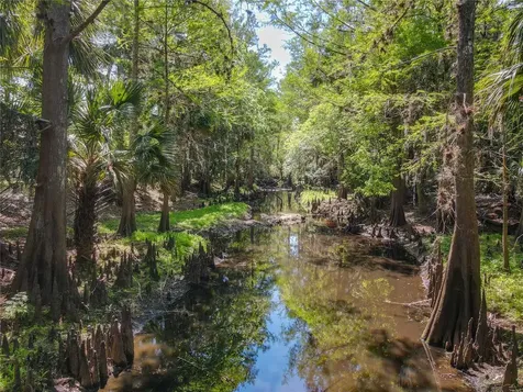 1501 Ashby Creek Road Osteen FL 32764
