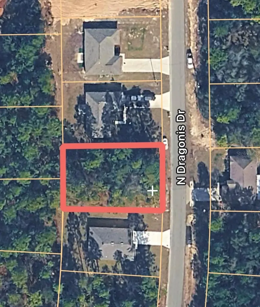 10924 N Dragonis Drive Citrus Springs FL 34433