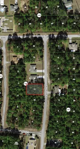 10924 N Dragonis Drive Citrus Springs FL 34433