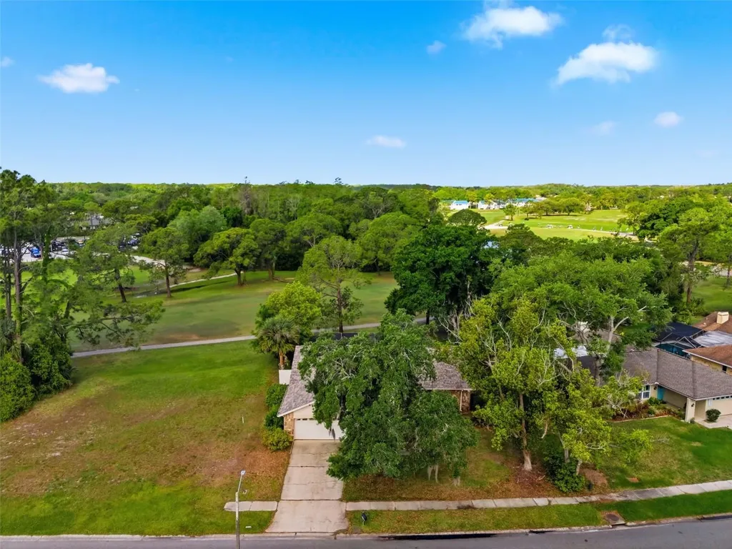 3506 Fairway Forest Drive Palm Harbor FL 34685