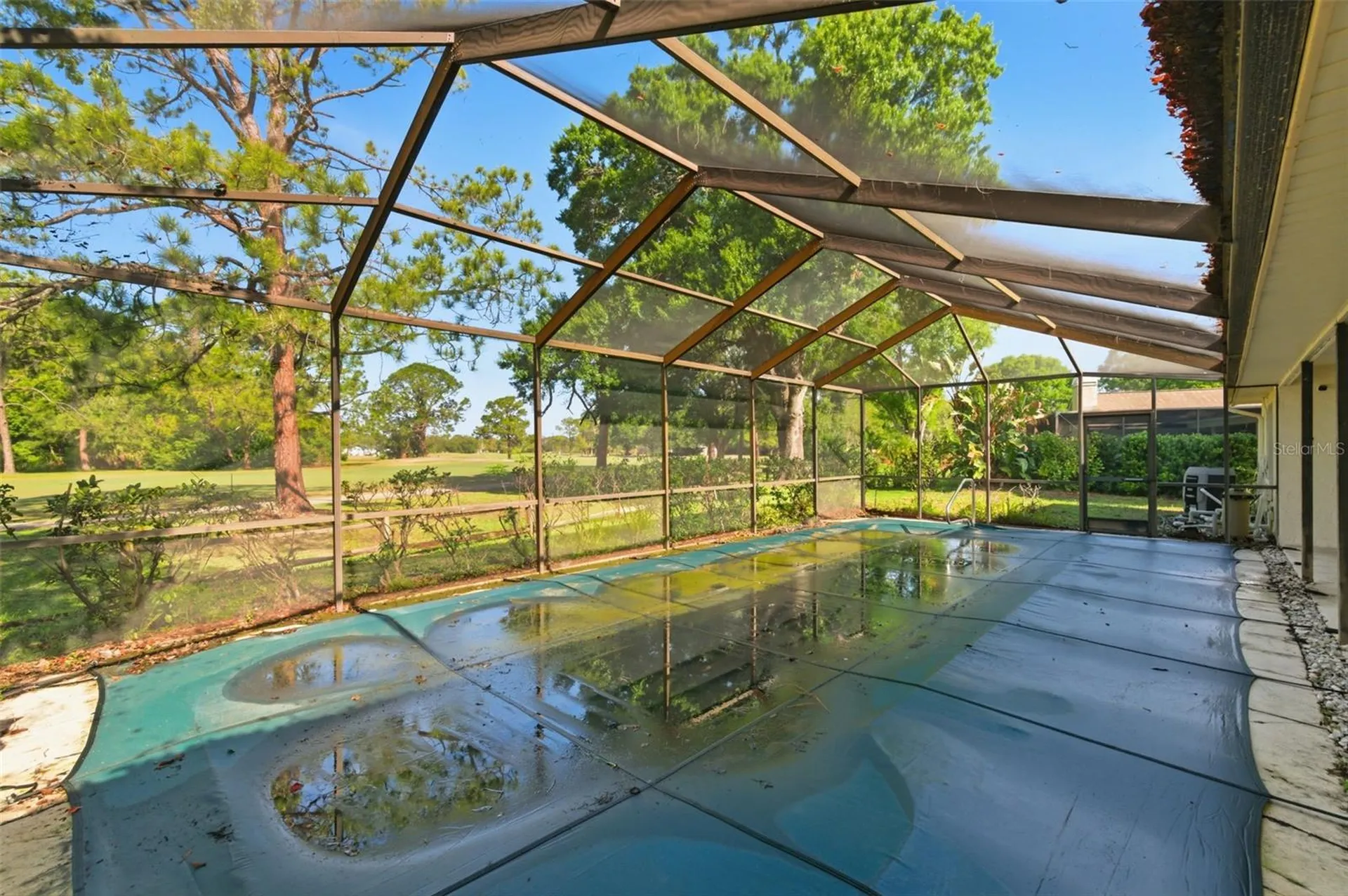 3506 Fairway Forest Drive Palm Harbor FL 34685