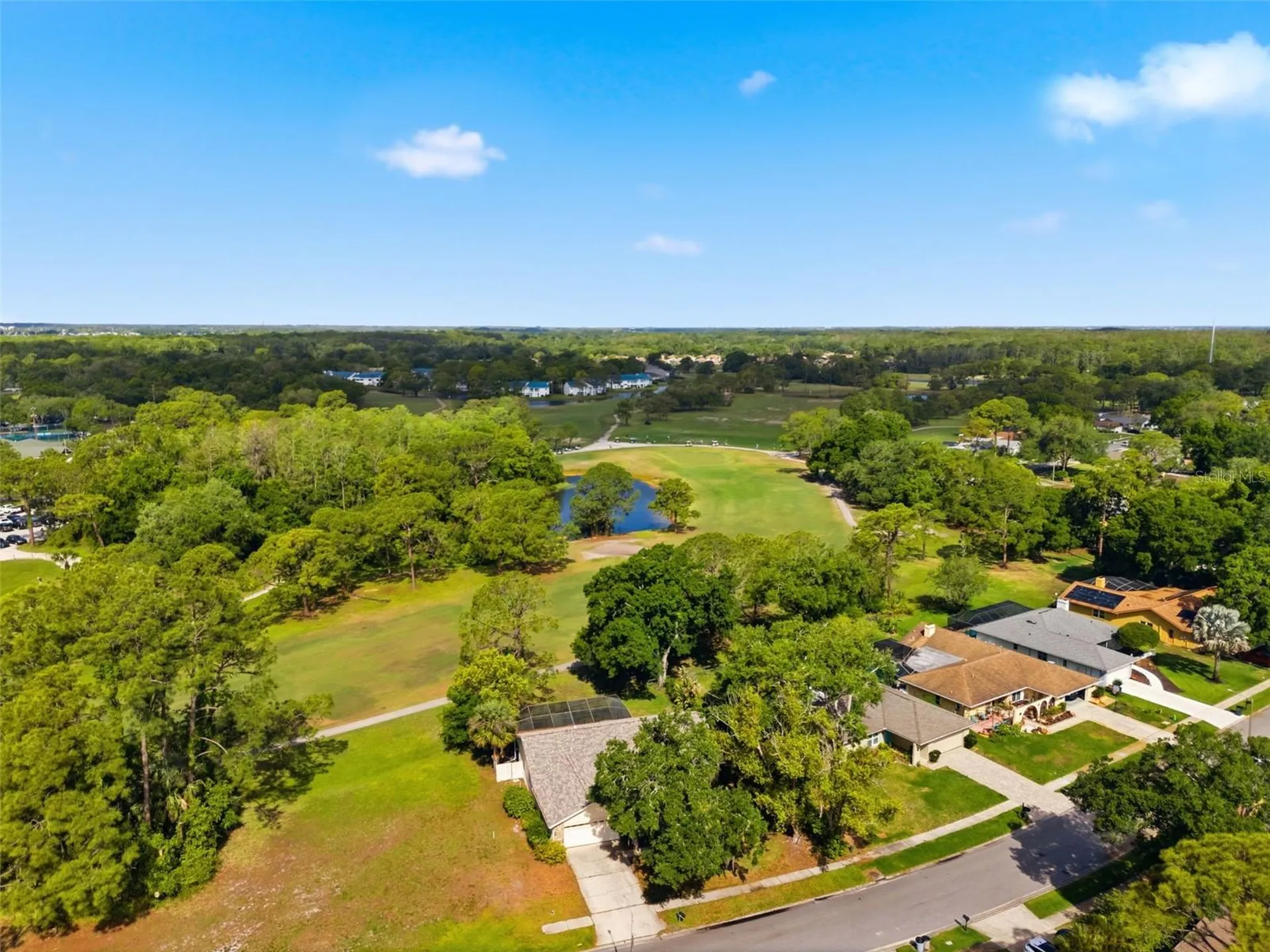 3506 Fairway Forest Drive Palm Harbor FL 34685