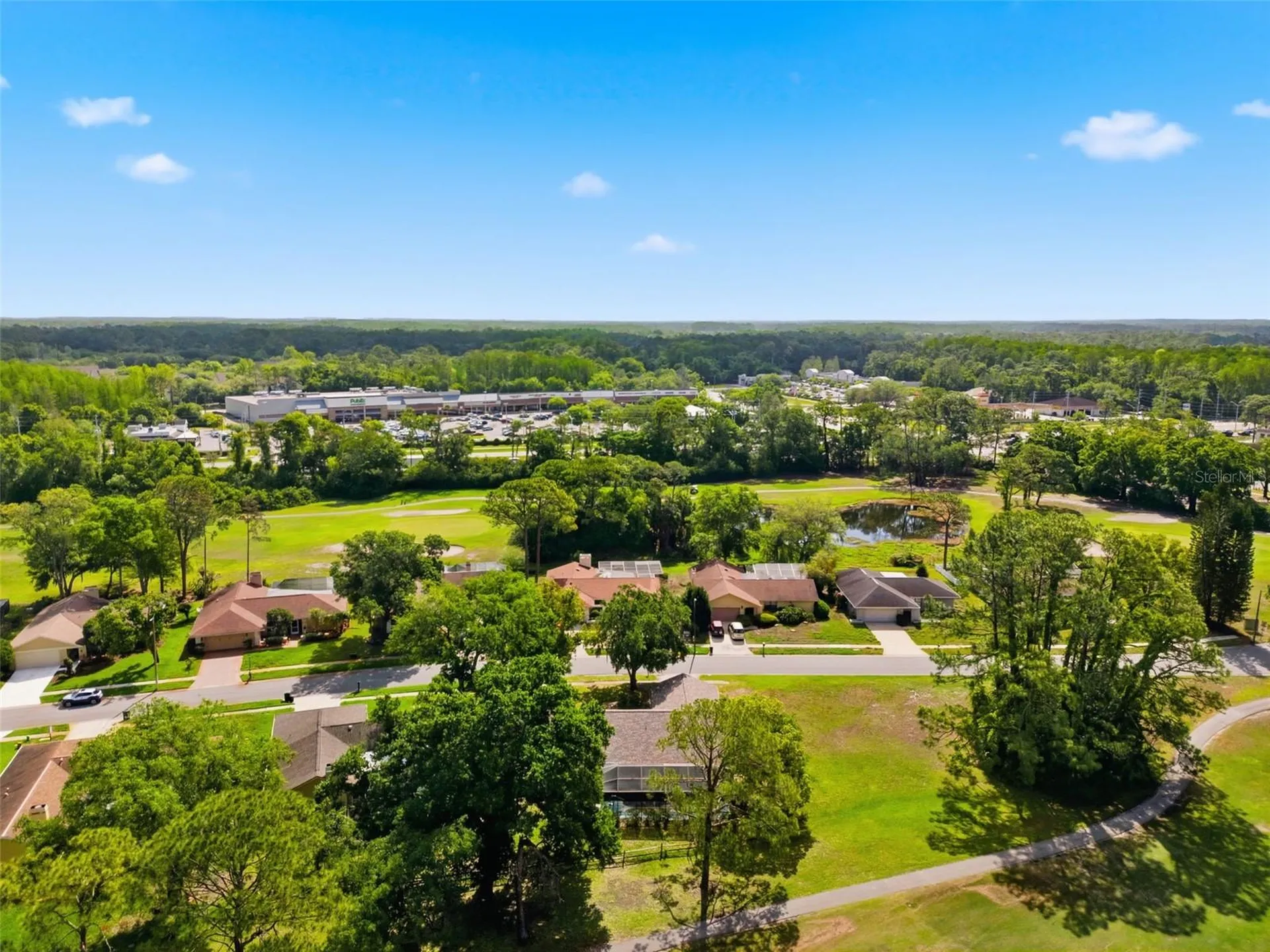 3506 Fairway Forest Drive Palm Harbor FL 34685