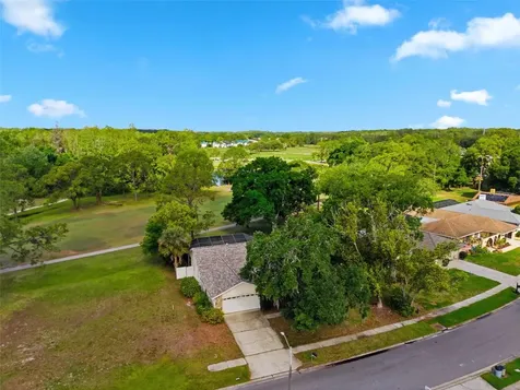 3506 Fairway Forest Drive Palm Harbor FL 34685