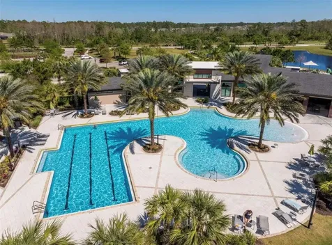 17520 Butterfly Pea Court Clermont FL 34714
