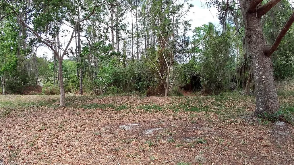 3842 Stonefield Drive Orlando FL 32826