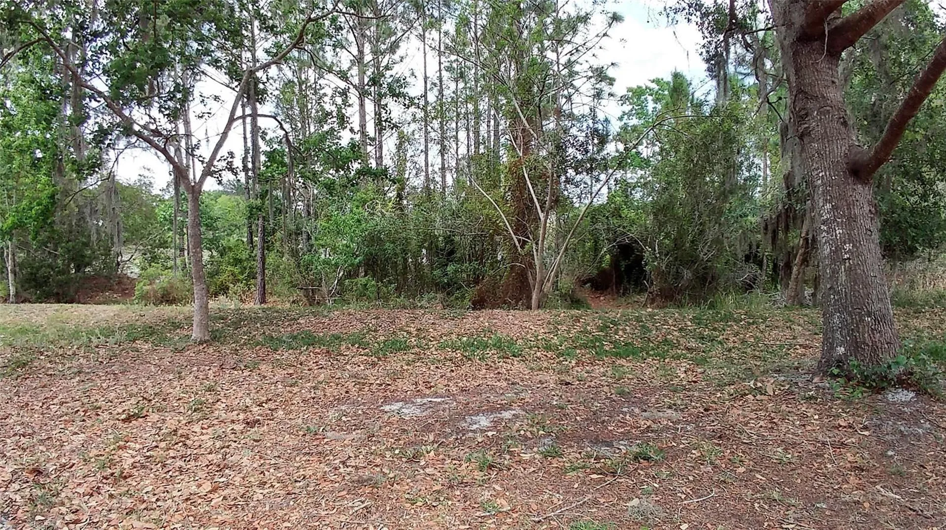 3842 Stonefield Drive Orlando FL 32826