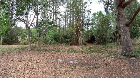 3842 Stonefield Drive Orlando FL 32826