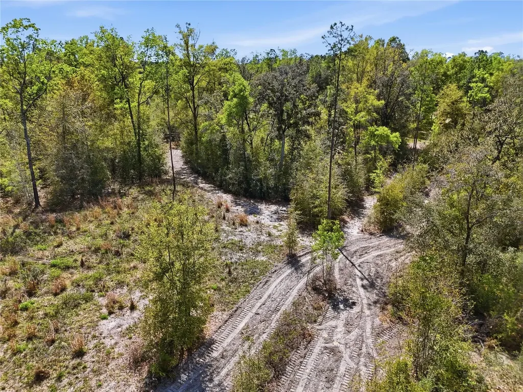 29578 SW 63rd Avenue Newberry FL 32669