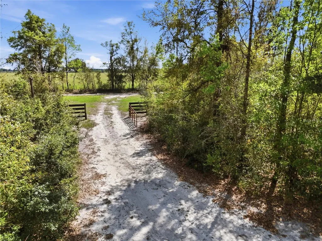 29578 SW 63rd Avenue Newberry FL 32669