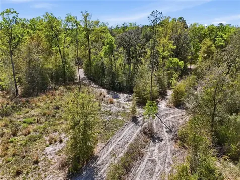 29578 SW 63rd Avenue Newberry FL 32669
