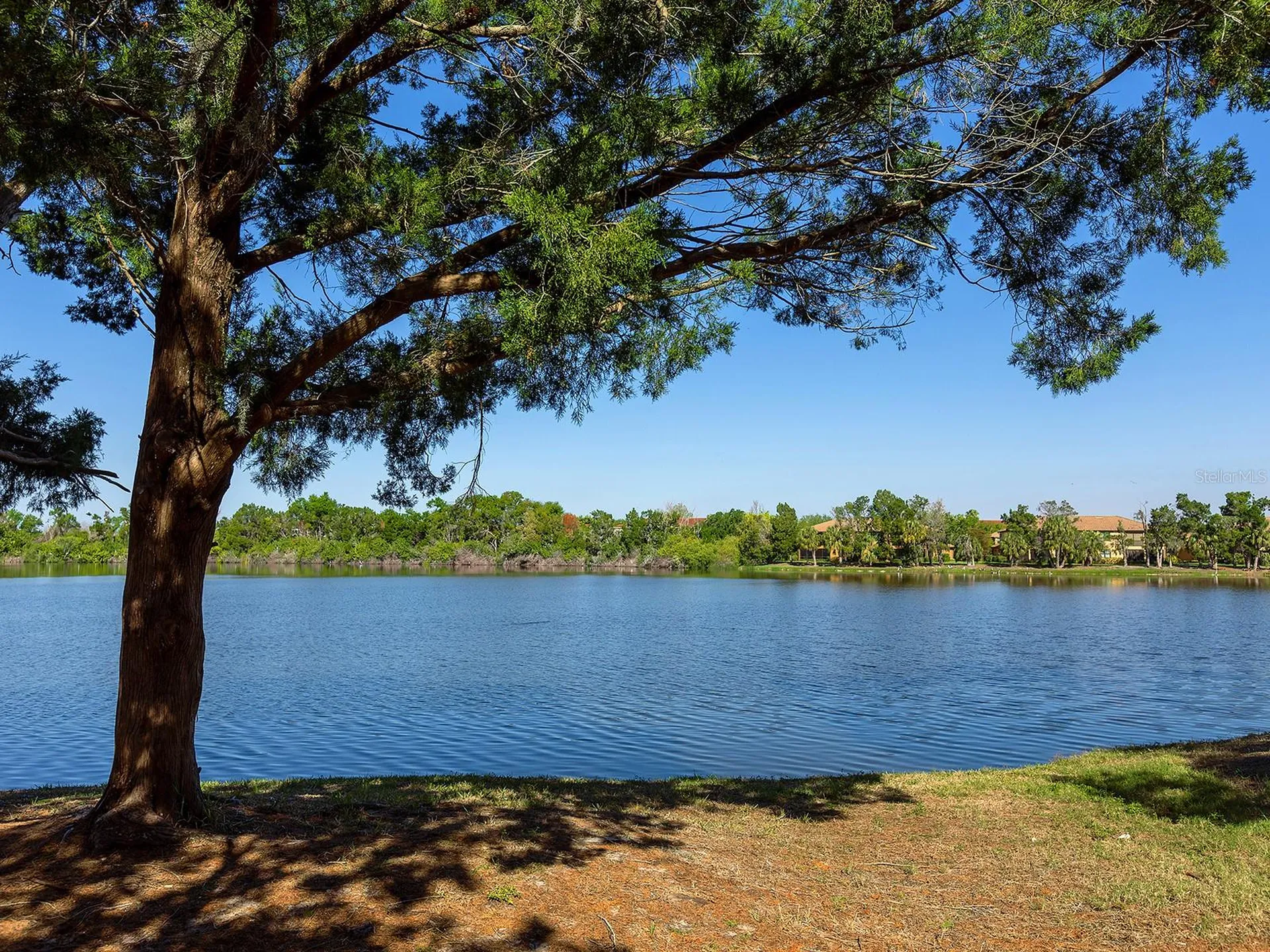 232 Cape Harbour Loop Bradenton FL 34212