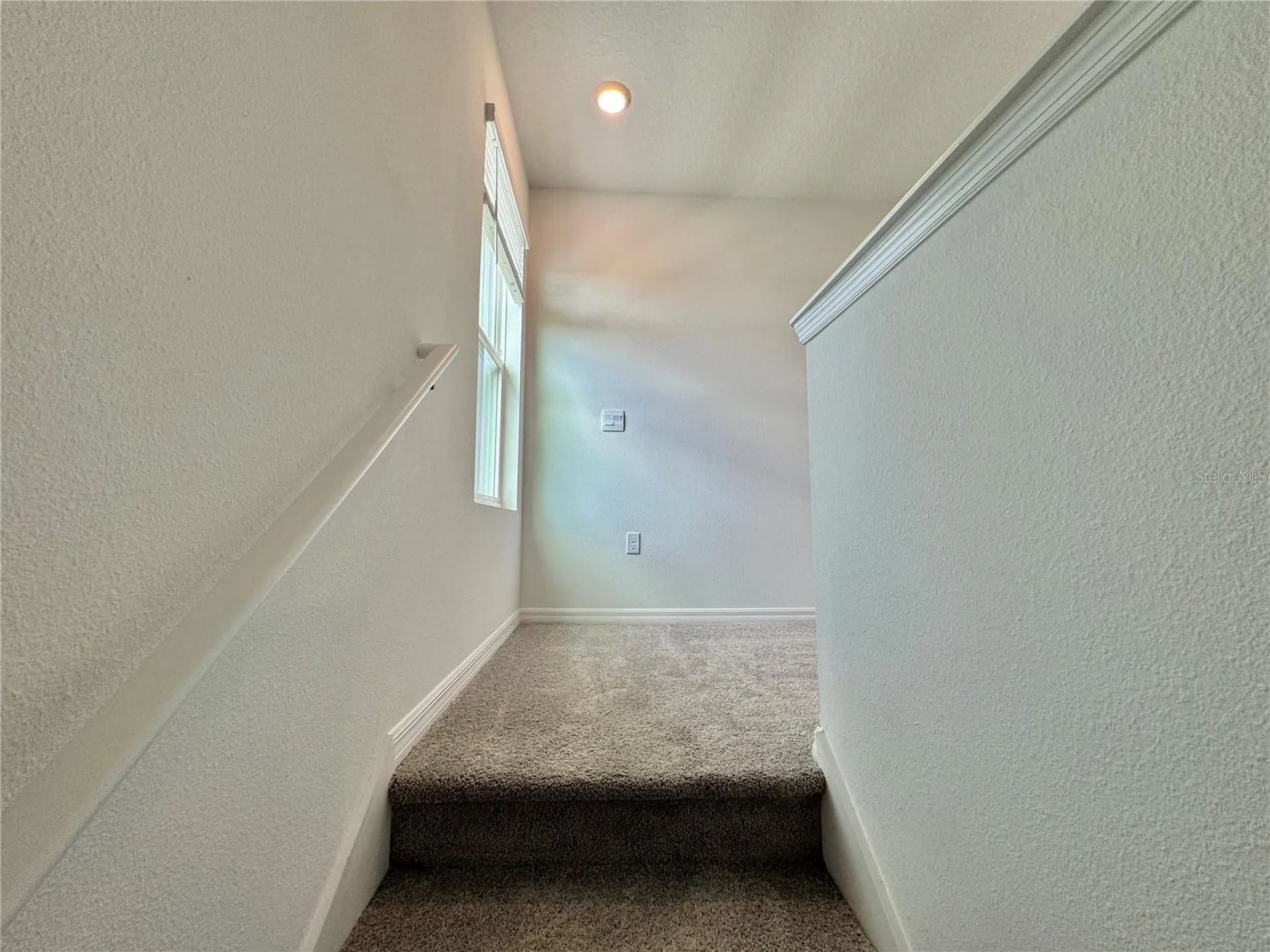 35629 Kinsey Point Zephyrhills FL 33541