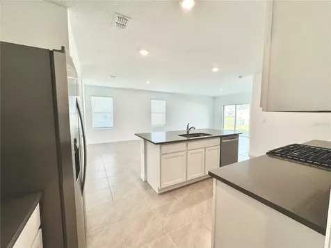 35629 Kinsey Point Zephyrhills FL 33541