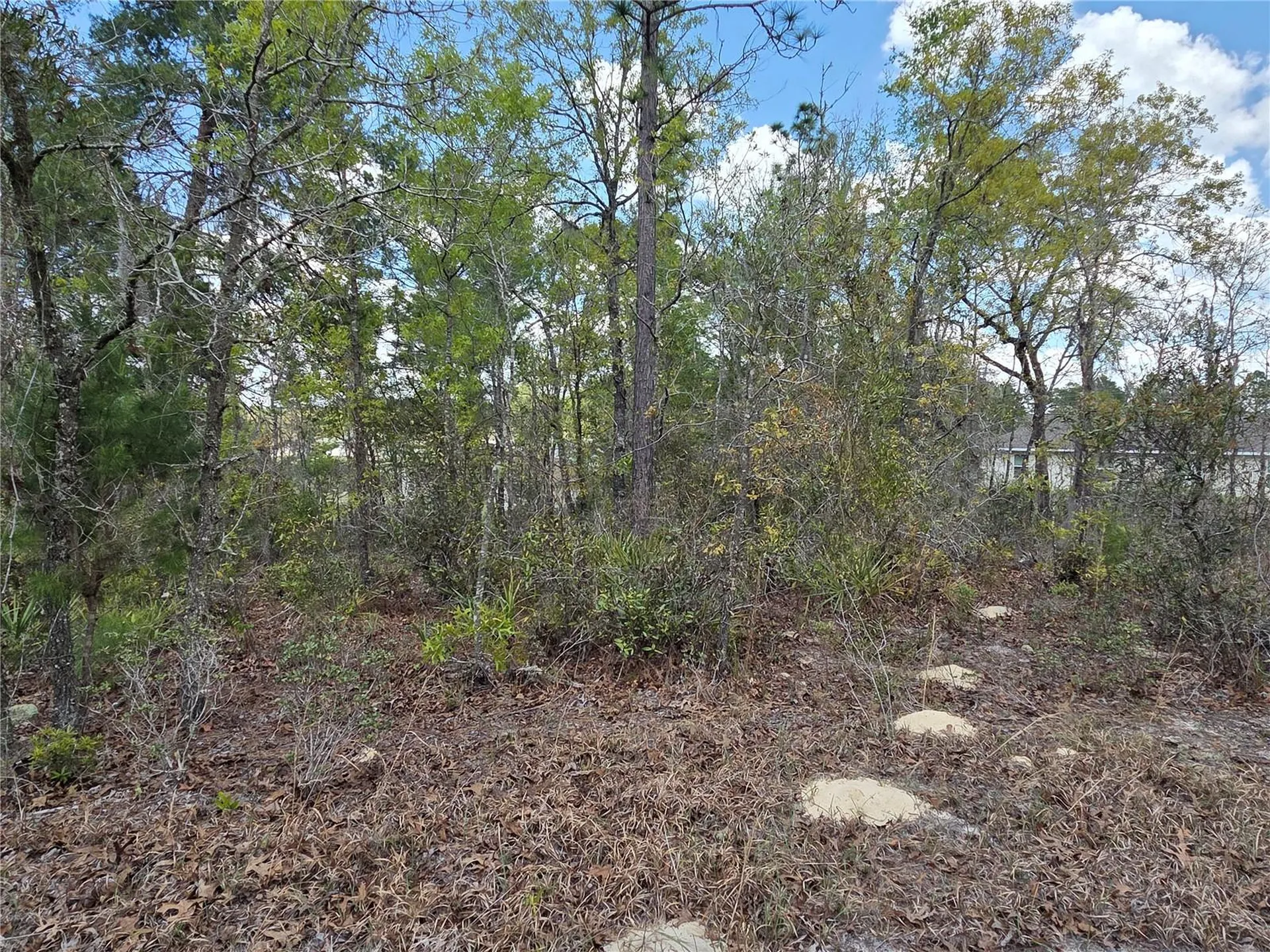 SW 139th Place Road Ocala FL 34473