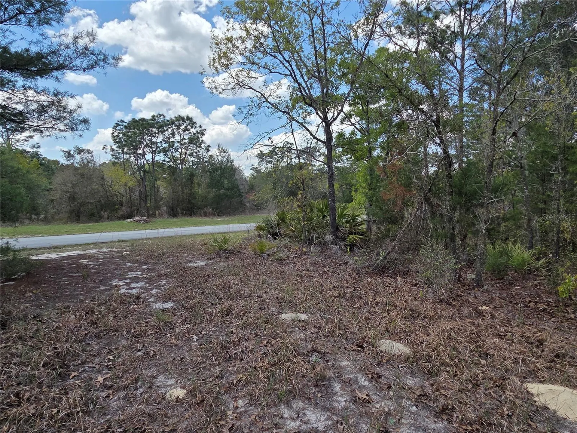 SW 139th Place Road Ocala FL 34473