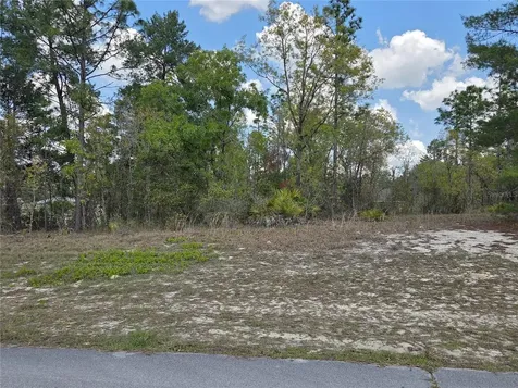SW 139th Place Road Ocala FL 34473
