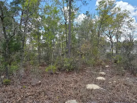 SW 139th Place Road Ocala FL 34473
