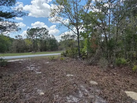 SW 139th Place Road Ocala FL 34473