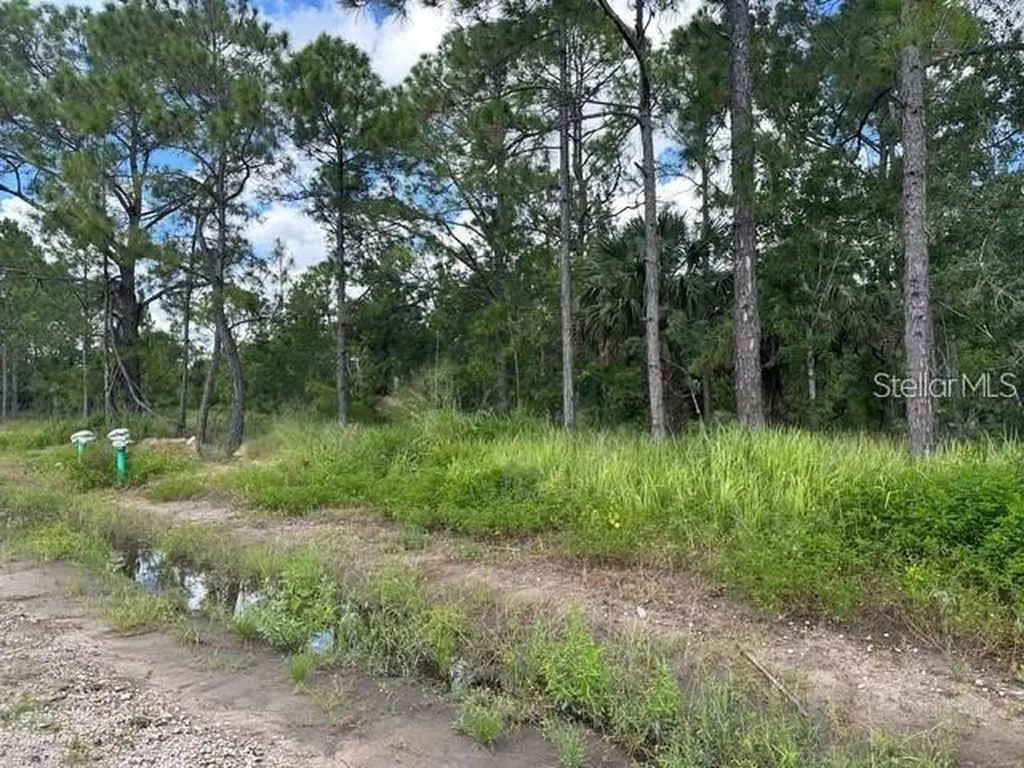 274 Spoonbill Drive Kissimmee FL 34759