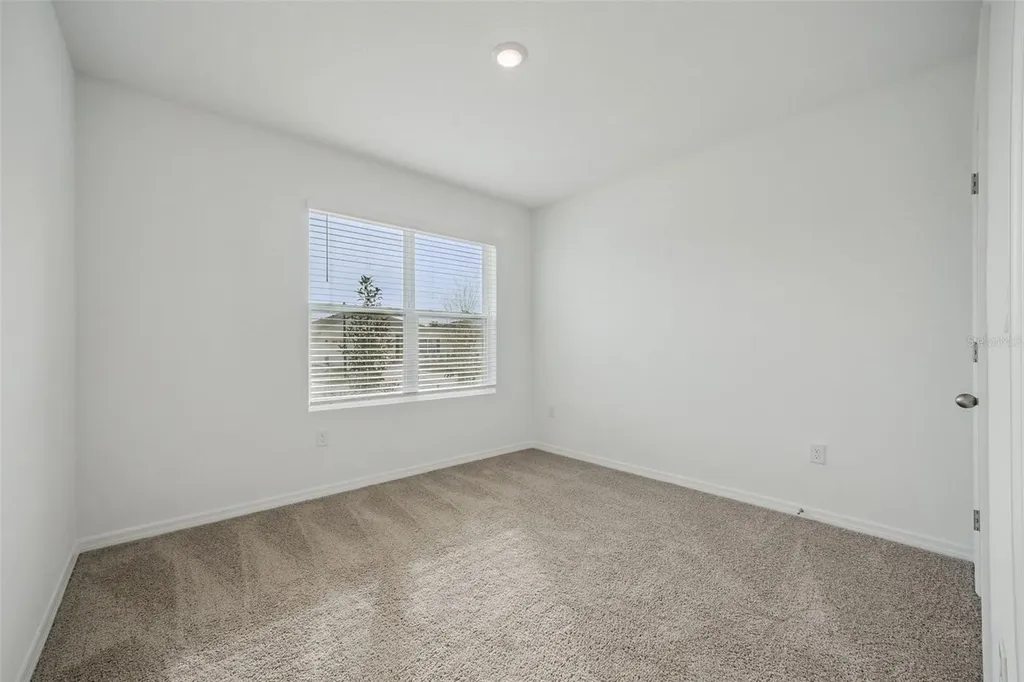 3515 Nettle Loop Tavares FL 32778